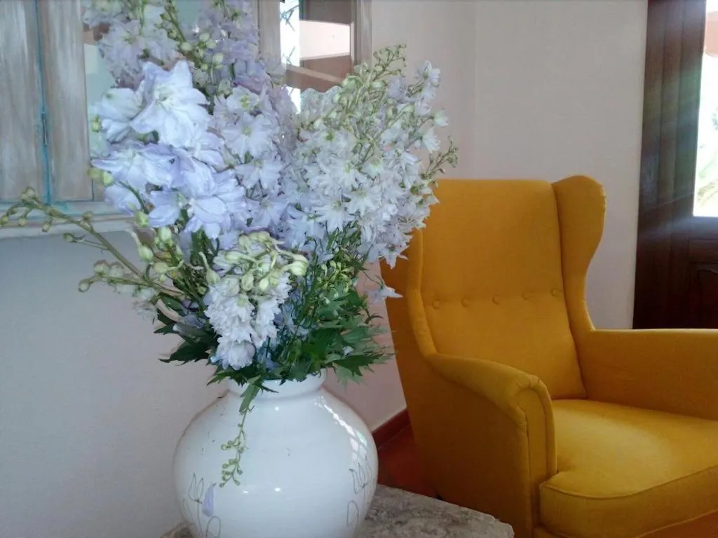 Hotel Mya Porto Cervo